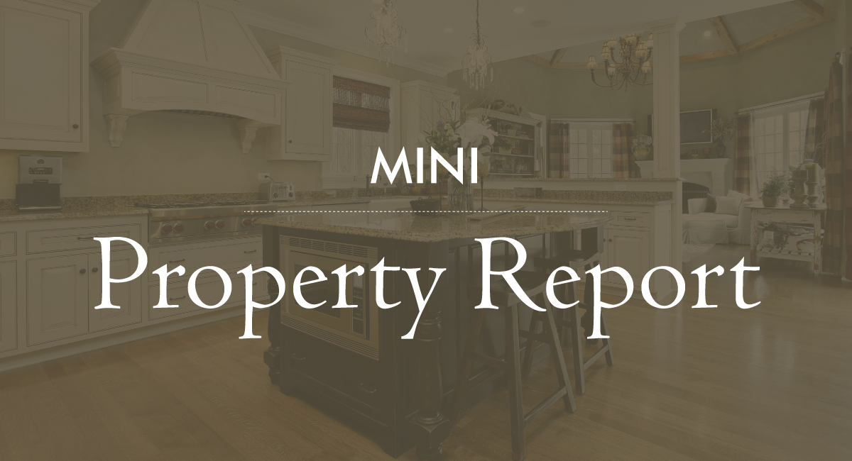 Mini Property Report